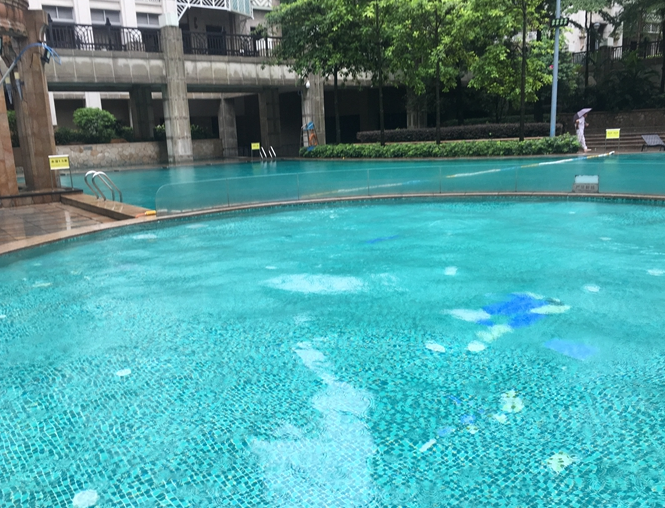 室内泳池设备 室内泳池设备